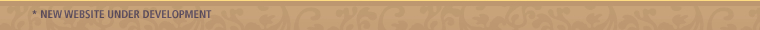 Footer Image
